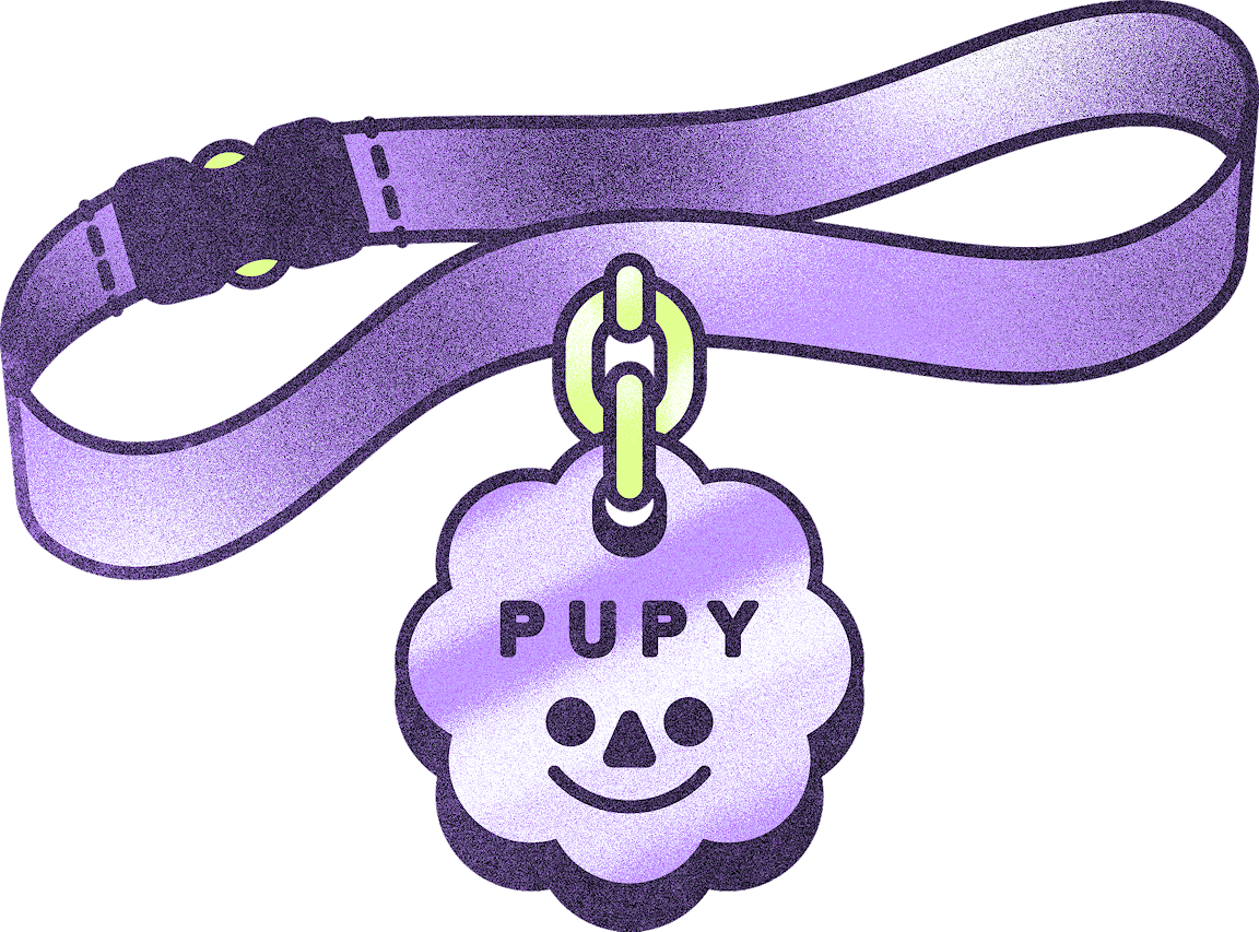 A pet collar has a name tag that reads "PUPY."